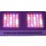 Cultilite_LED_150W_New_Generation