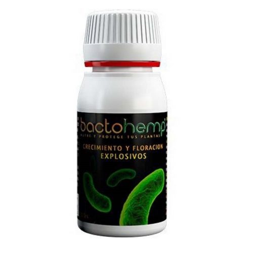 Agrobacterias Bactohemp