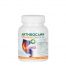Annabis Arthrocann Collagen Omega Forte (60 comprimidos)