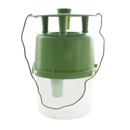 Polillero  Transparente/Verde