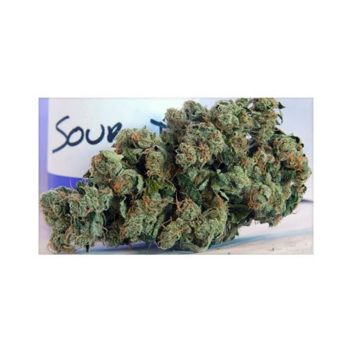 Blimburn Seeds Sour Diesel Fem