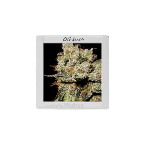 Blimburn Seeds OGs Kush Fem