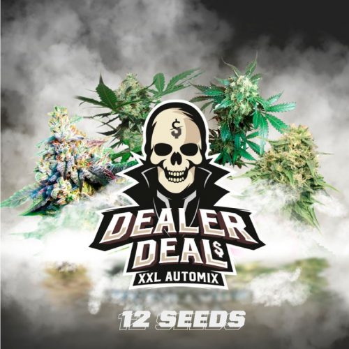 BSF Seeds Dealer Deal XXL Automix 12Und