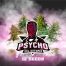 BSF Seeds Psycho XXL Automix 12Und
