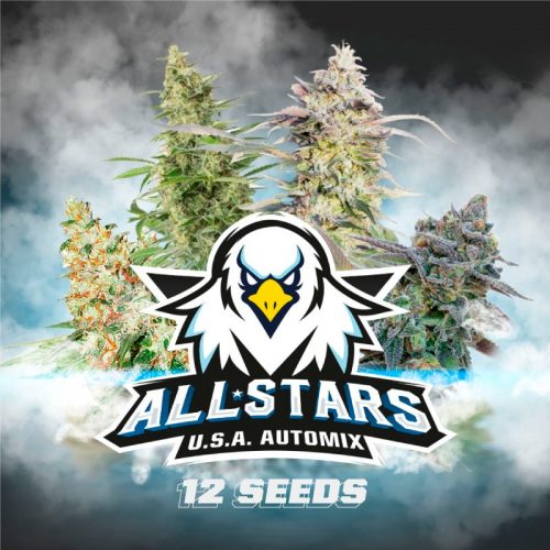 BSF Seeds All Stars USA Automix 12Und