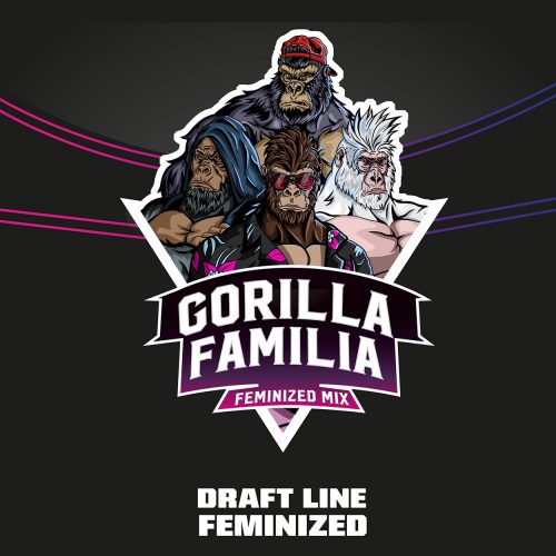 BSF Seeds Gorilla Familia Feminized Mix 12Und