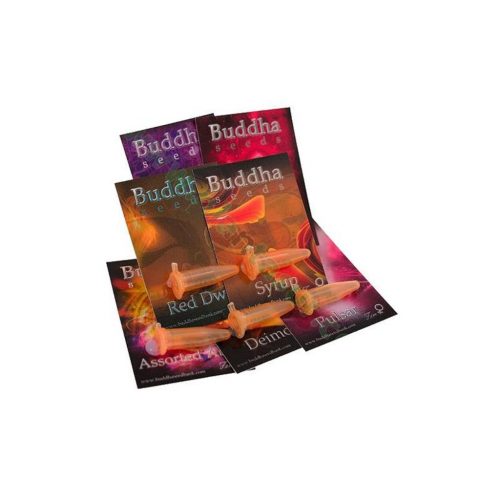 Buddha Seeds Assorted Blister 10Und Auto