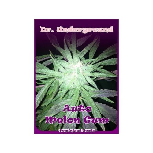 Dr Underground Auto Melon Gum