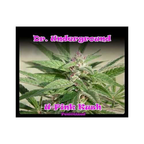Dr Underground U-Pink Kush Fem.