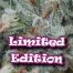 Dr Underground (Edicion Limitada) Aladin 5Und Fem.