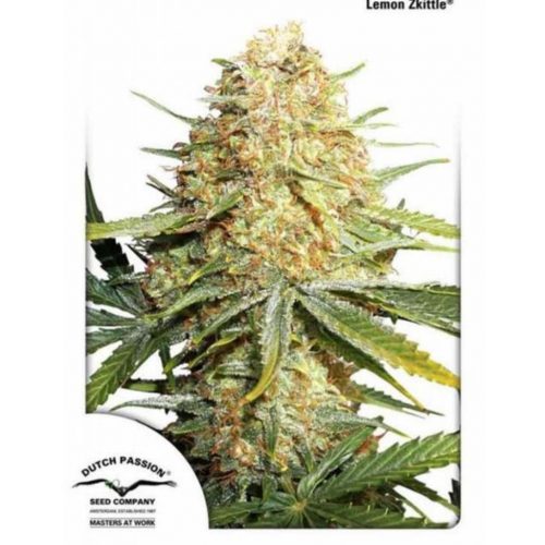 Dutch Passion Auto Lemon Zkittle