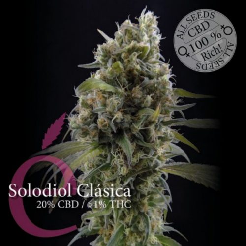 Elite Seeds Solodiol CBD Fem.