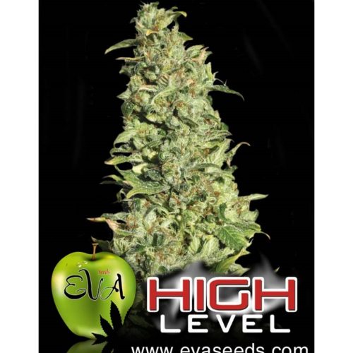 Eva Seeds High Level Fem
