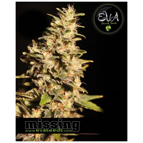 Eva Seeds Missing Fem