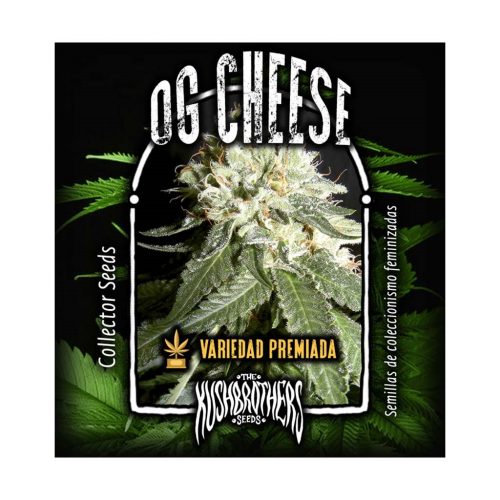 The Kush Brothers OG Cheese Fem