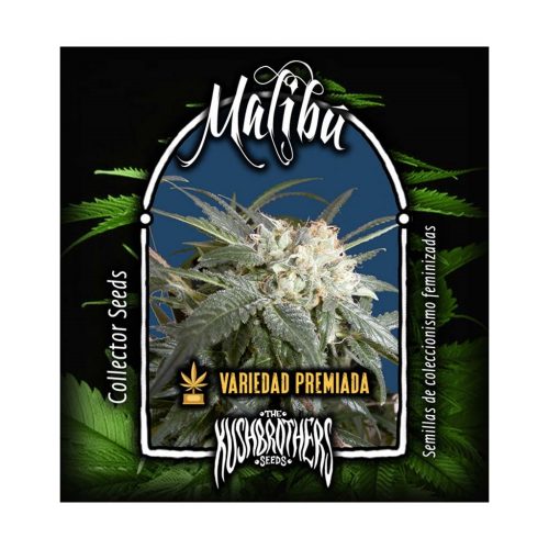 The Kush Brothers Malibu Fem