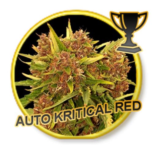 Mr. Hide Auto Kritical Red