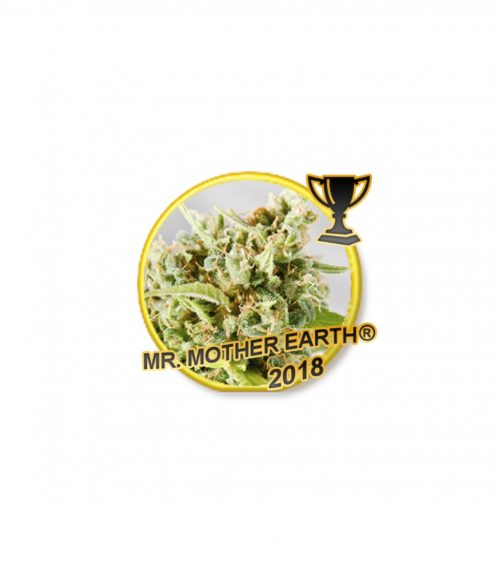 Mr. Hide Mr. Mother Earth Fem.