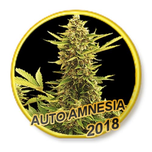 Mr. Hide Auto Amnesia