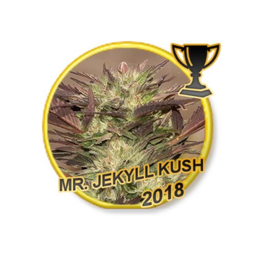 Mr. Hide Mr. Jekyll Kush Fem.