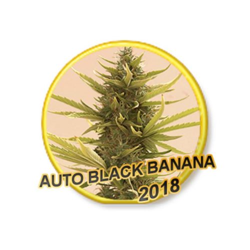 Mr. Hide Auto Black Ba