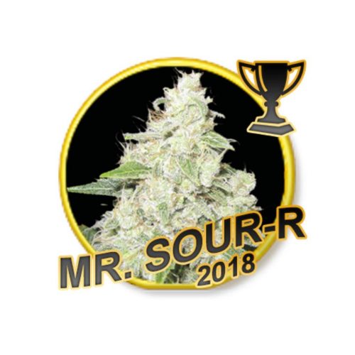 Mr. Hide Mr. Sour-R  Fem.