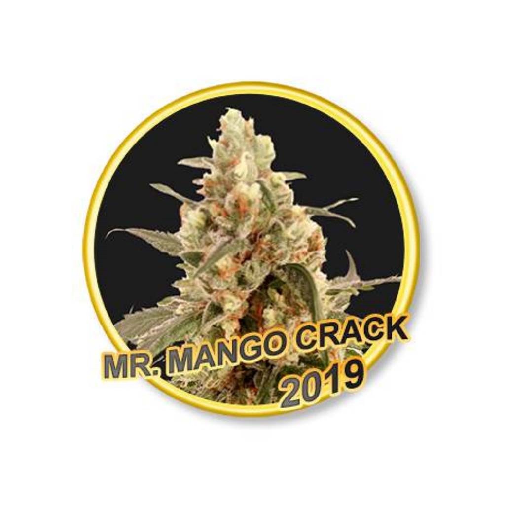 Mr. Hide Mr. Mango Crack Fem.