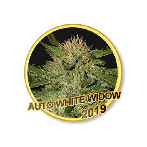 Mr. Hide Auto White Widow