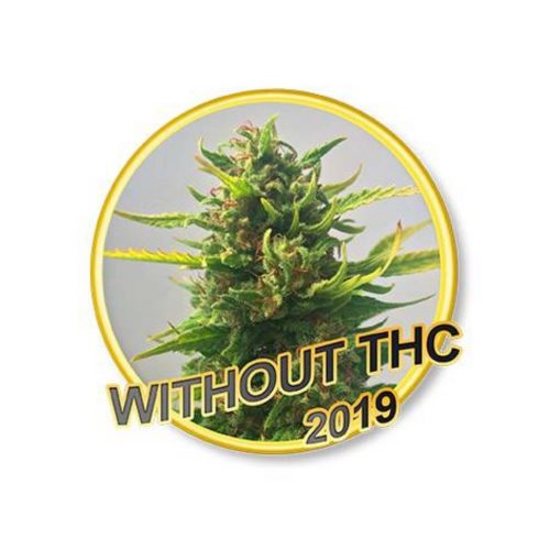 Mr. Hide Without THC CBD
