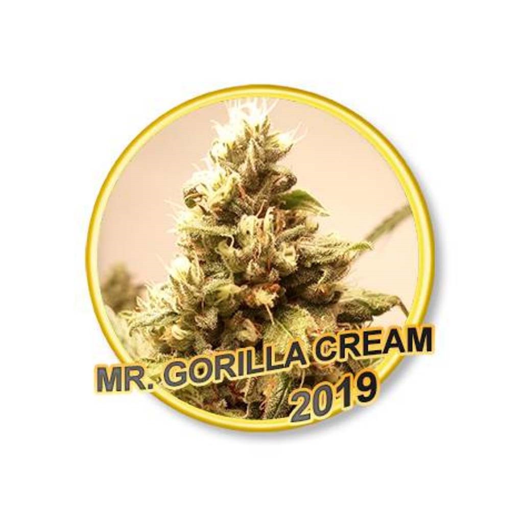 Mr. Hide Mr. Gorilla Cream Fem.