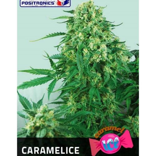 Positronics Caramelice Fem