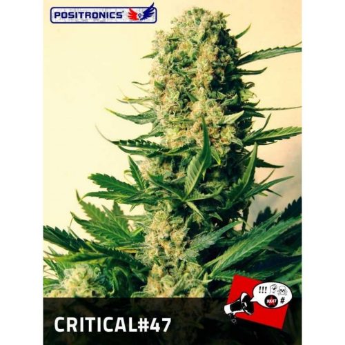 Positronics Critical 47 Fem
