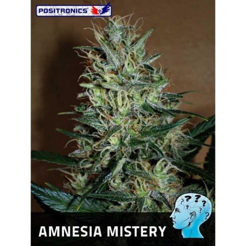 Positronics Amnesia Mistery Fem