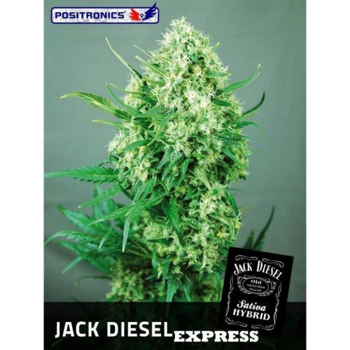 Positronics Jack Diesel Express 5Und