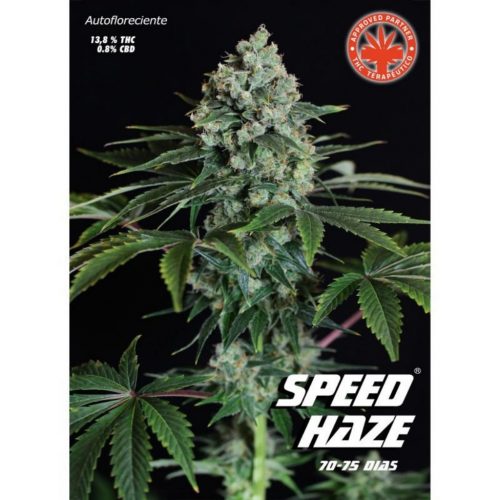 Pure Seeds Speed Haze Auto