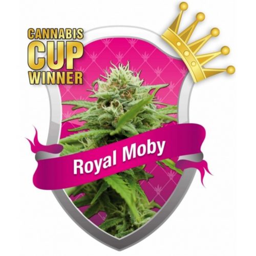 Royal Queen Royal Moby Fem.