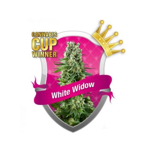Royal Queen White Widow Fem.