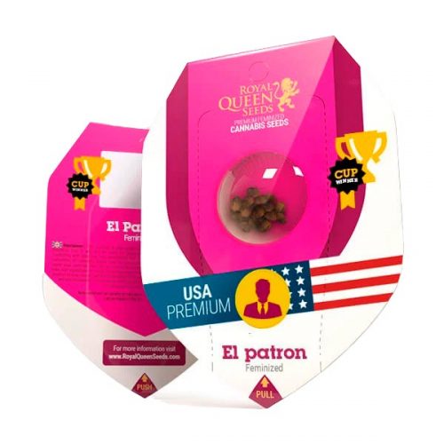 Royal Queen El Patron Fem.
