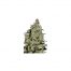 Seedmakers Auto Critical 5Und