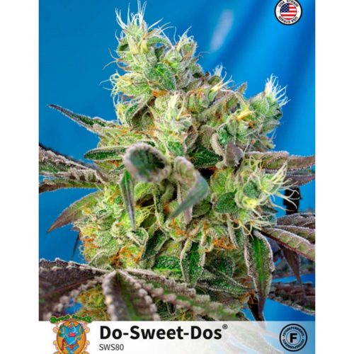 Sweet Seeds Do-Sweet-Dos