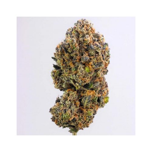 Sweet Seeds Sweet Zkittlez Fem.