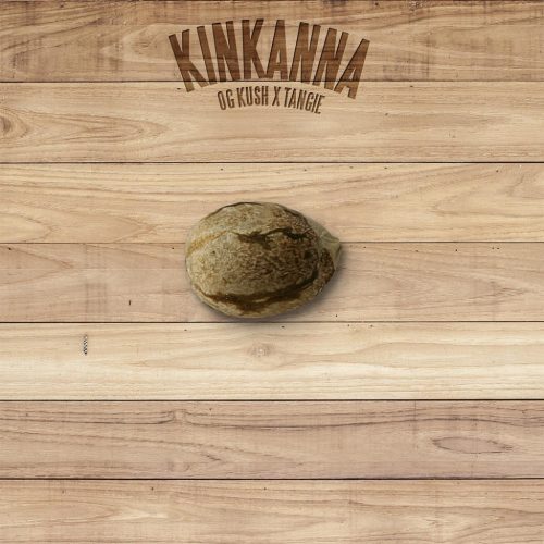 The Plant Kinkan