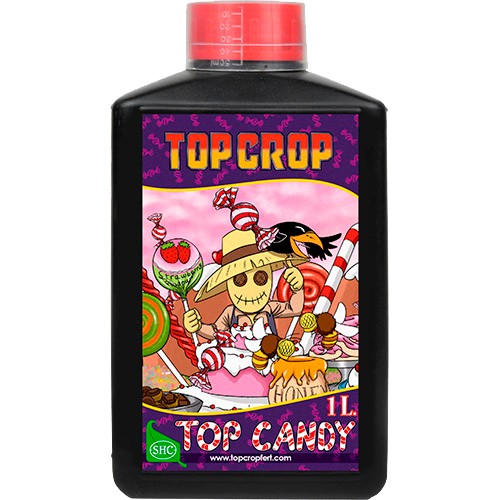 Top Crop Top Candy