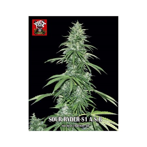 Xtreme Seeds Sour Ryder ASB