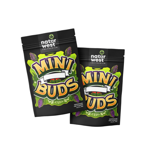 mini buds fruit cake bolsa de 20g